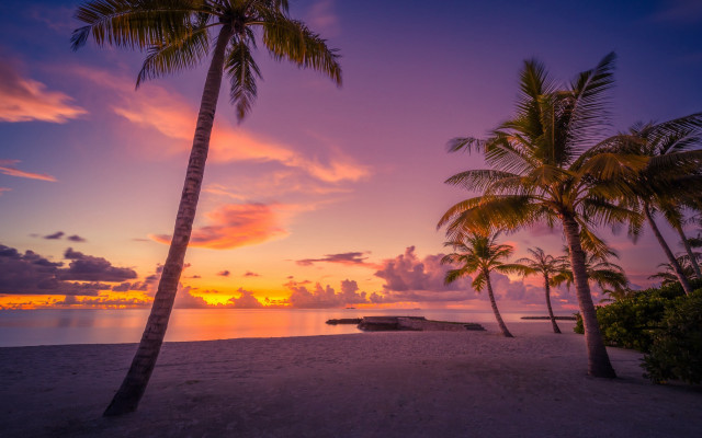 Sunset tropical beach palm boat free wallpaper for desktop - medium preview image