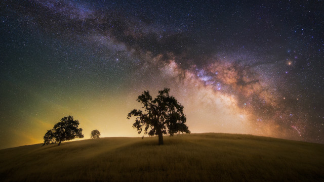 Field trees night sky stars free wallpaper for desktop - medium preview image