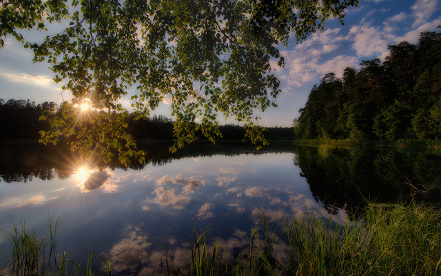 Lake tree clouds sunset forest #2 free wallpaper for desktop - medium preview image