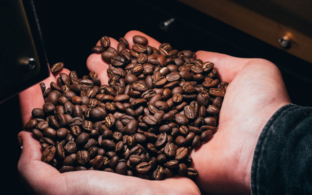 Coffee beans hands cell phone free wallpaper for desktop - medium preview image