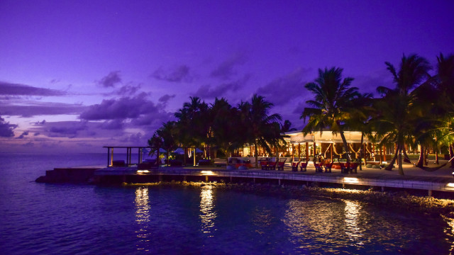 Dock restaurant palm trees night free wallpaper for desktop - medium preview image