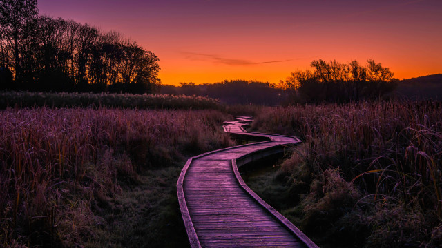 Wooden path sunset purple sky free wallpaper for desktop - medium preview image