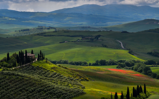 Green hills house road trees free wallpaper for desktop - medium preview image