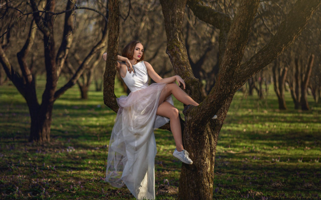 Woman white dress tree park free wallpaper for desktop - medium preview image
