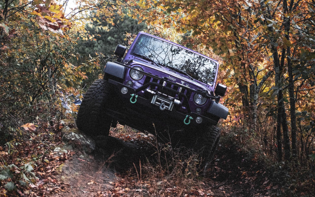 Purple jeep forest trail autumn free wallpaper for desktop - medium preview image