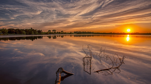 Lake tree branch sunset clouds free wallpaper for desktop - medium preview image