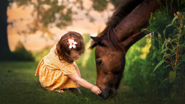 Girl horse flower outdoors nature free wallpaper for desktop - medium preview image