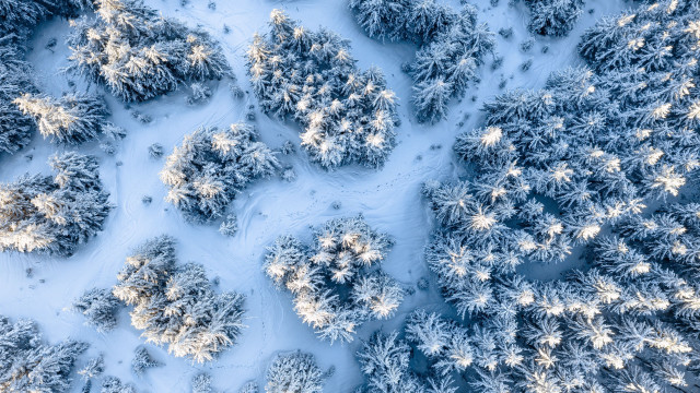 Snowy forest aerial microscopic Christmas free wallpaper for desktop - medium preview image