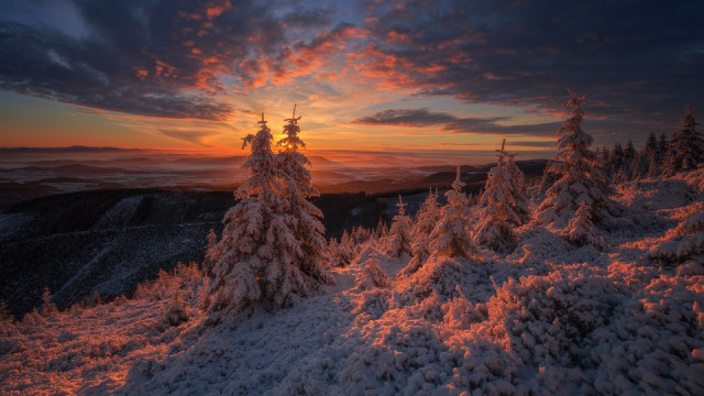 Sunset snowy mountain trees clouds #7 free wallpaper for desktop - medium preview image