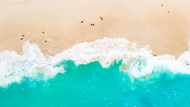 Beach wave people ocean silhouette free wallpaper for desktop - medium preview image