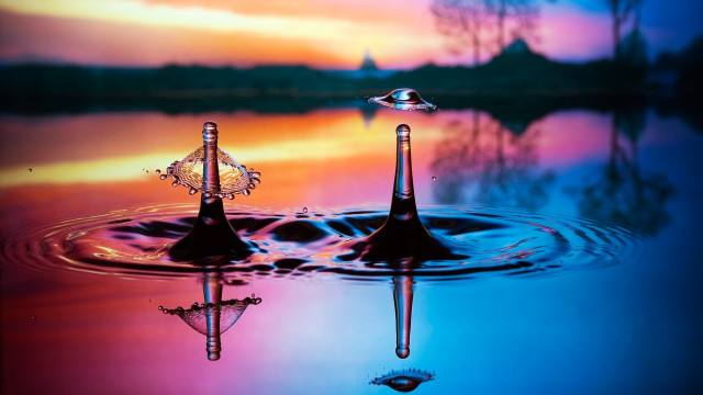 Water drop sunset reflection tree free wallpaper for desktop - medium preview image