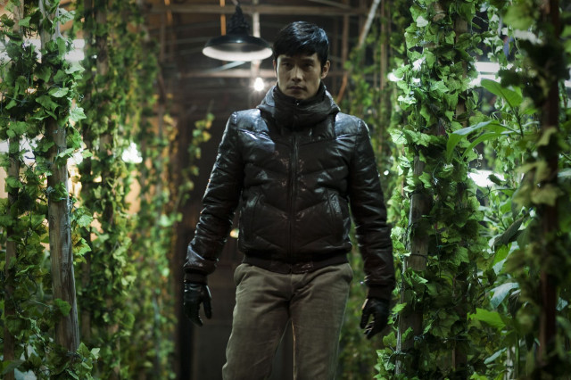 Man black jacket hat green free wallpaper for desktop - medium preview image