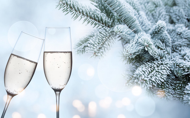Champagne flutes christmas branch snow free wallpaper for desktop - medium preview image