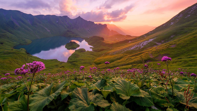 Mountain lake flower sunset pink free wallpaper for desktop - medium preview image