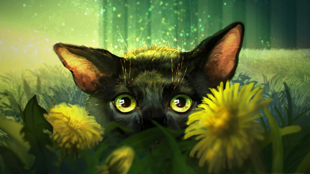Green eyed cat in grass free wallpaper for desktop - medium preview image