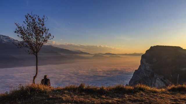 Sunset valley hill tree mountain free wallpaper for desktop - medium preview image