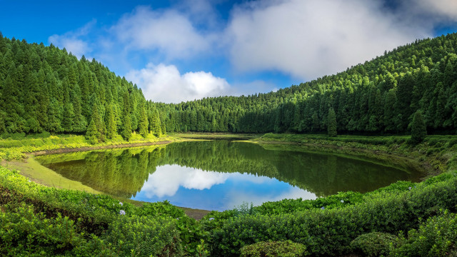Lake forest blue sky clouds free wallpaper for desktop - medium preview image