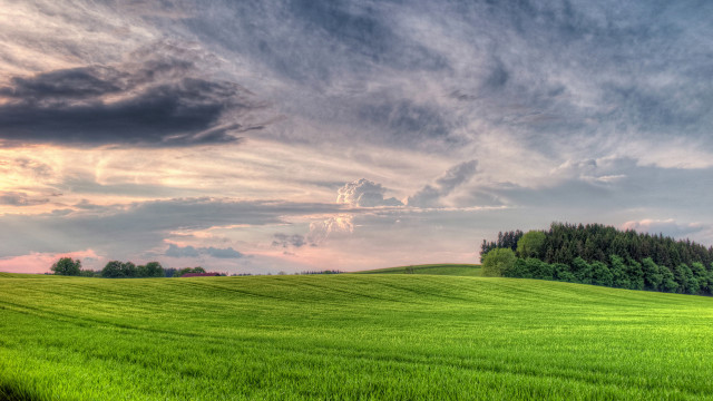 Green field trees clouds sunset #2 free wallpaper for desktop - medium preview image