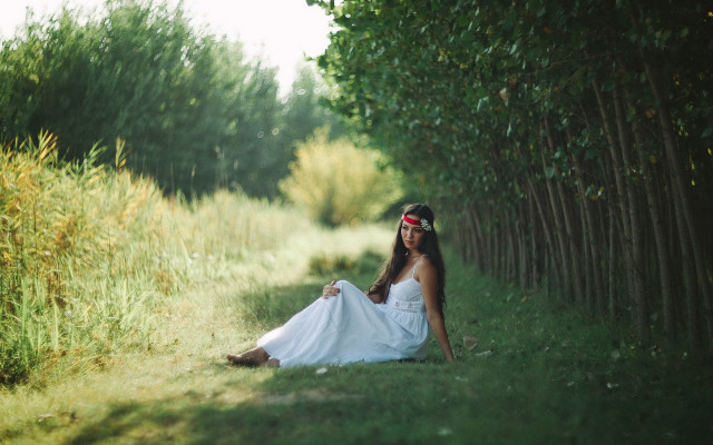 Woman white dress forest sitting free wallpaper for desktop - medium preview image