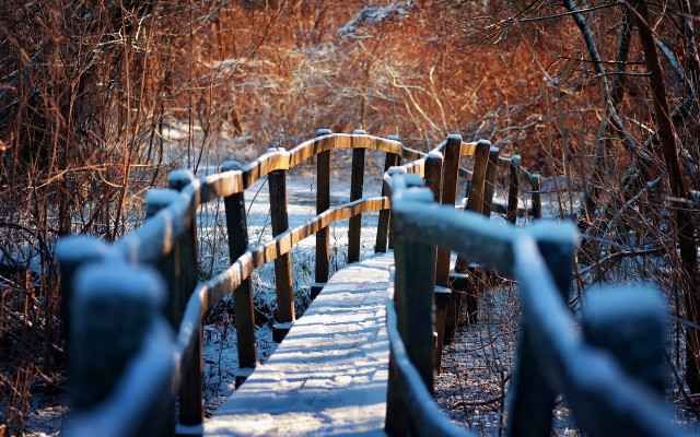 Wooden bridge snowy field autumn free wallpaper for desktop - medium preview image