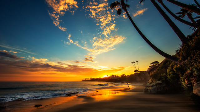 Sunset beach palm trees person free wallpaper for desktop - medium preview image