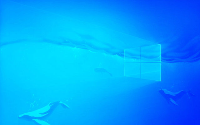 Blue room window curtain fish free wallpaper for desktop - medium preview image