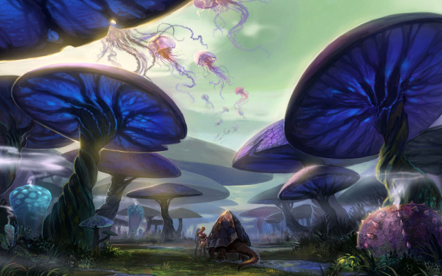Blue forest mushrooms woman bench free wallpaper for desktop - medium preview image