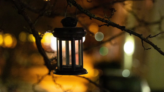 Lantern hanging tree night bokeh free wallpaper for desktop - medium preview image