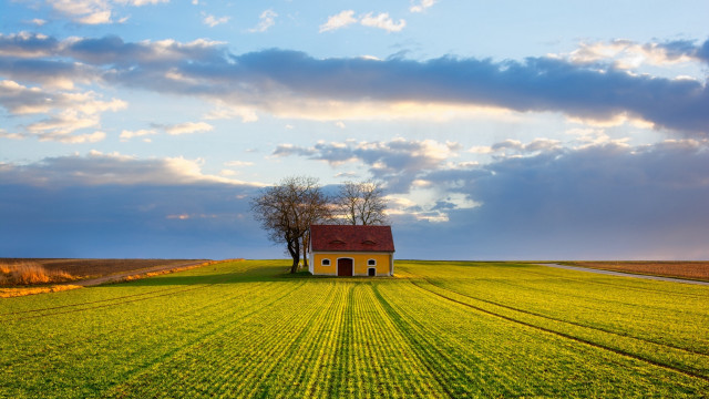 House field tree clouds dusk free wallpaper for desktop - medium preview image