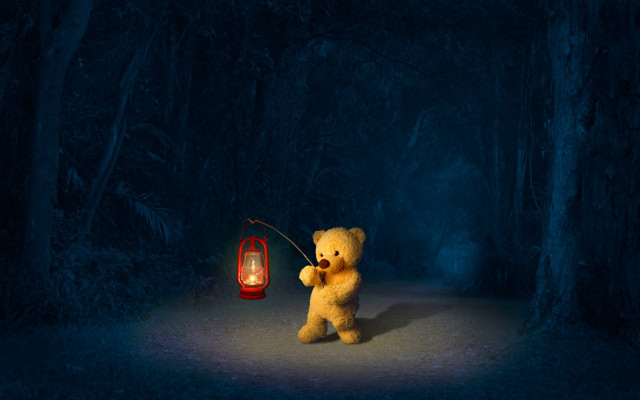 Teddy bear lantern dark forest free wallpaper for desktop - medium preview image