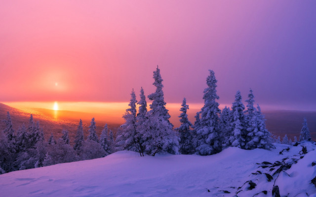 Sunset snowy mountain trees orange free wallpaper for desktop - medium preview image