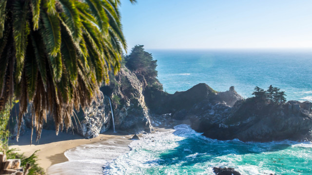 Beach palm cliff ocean nature free wallpaper for desktop - medium preview image