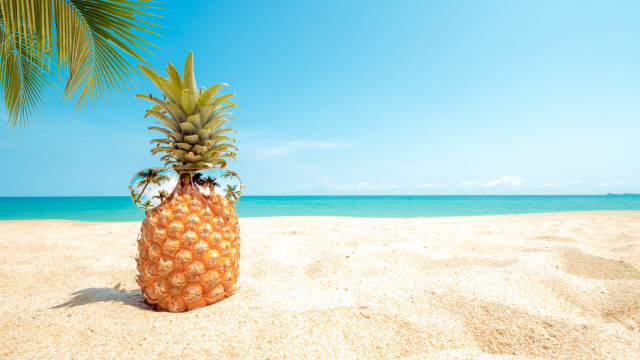 Pineapple beach palm sky ocean free wallpaper for desktop - medium preview image