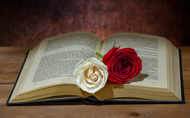 Book rose badge on table free wallpaper for desktop - medium preview image