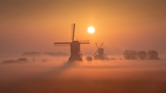 Windmill fog sun trees mist free wallpaper for desktop - medium preview image