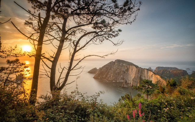 Lake mountain sunset trees forest free wallpaper for desktop - medium preview image