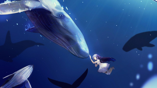 Girl whale dolphin fish underwater free wallpaper for desktop - medium preview image