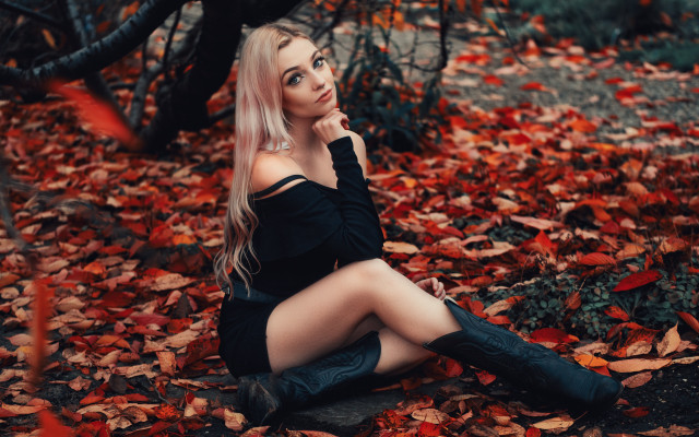 Woman forest autumn blonde leaves free wallpaper for desktop - medium preview image