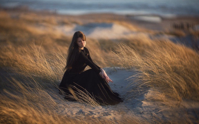 Woman black dress field sunset free wallpaper for desktop - medium preview image