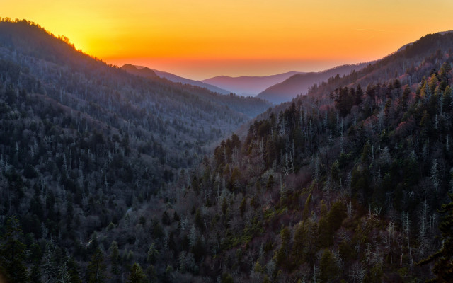 Sunset mountain range trees forest free wallpaper for desktop - medium preview image