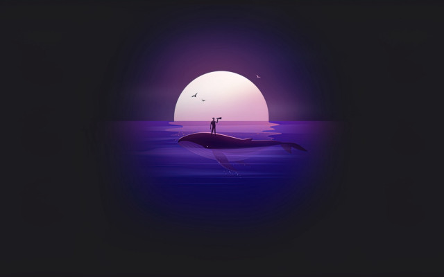 Whale swimming night person back free wallpaper for desktop - medium preview image