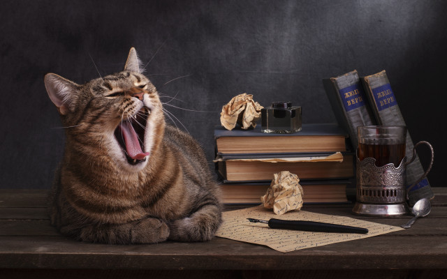 Cat yawning table books tea free wallpaper for desktop - medium preview image