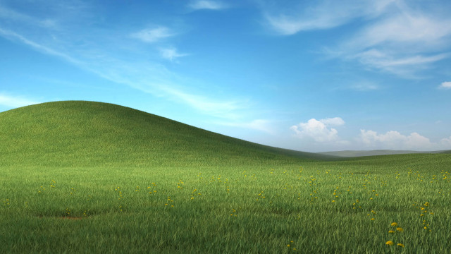 Grassy hill yellow flowers blue #2 free wallpaper for desktop - medium preview image
