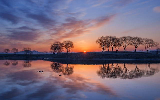 Sunset clouds trees water ducks free wallpaper for desktop - medium preview image