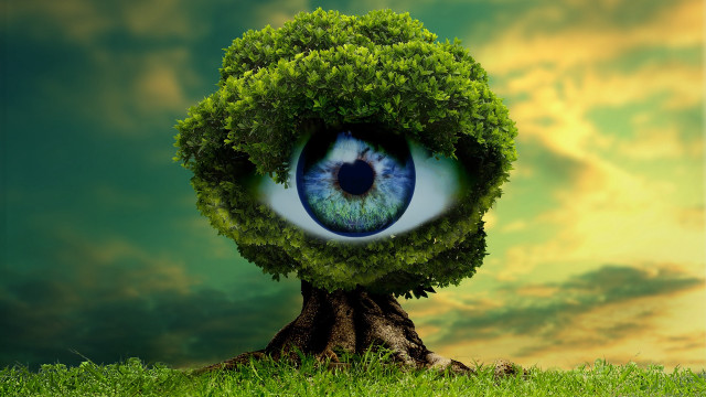 Green eyeball tree surreal sky free wallpaper for desktop - medium preview image