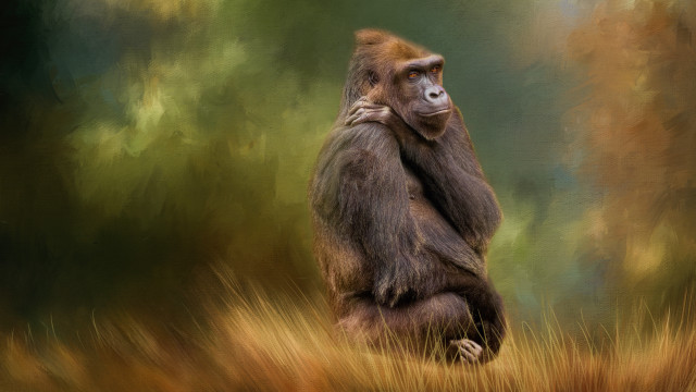 Monkey hugging in field digital free wallpaper for desktop - medium preview image