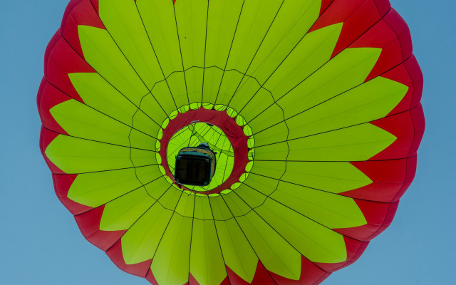 Kite green red window blue free wallpaper for desktop - medium preview image