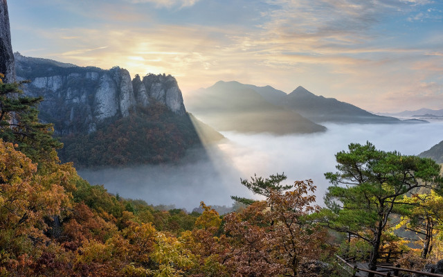 Mountain valley foggy forest beach free wallpaper for desktop - medium preview image