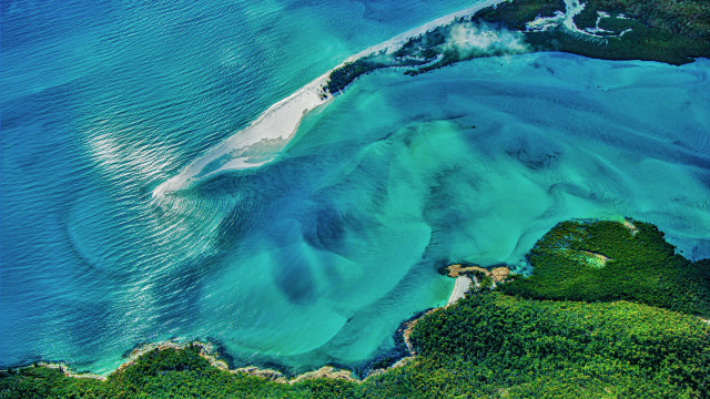 Large water surrounded land trees free wallpaper for desktop - medium preview image