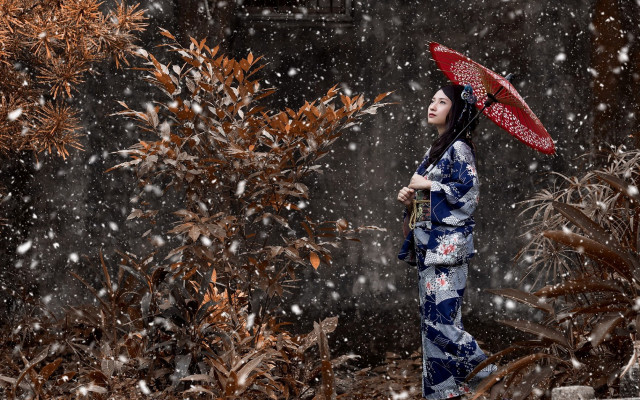 Kimono umbrella snowfall trees night free wallpaper for desktop - medium preview image